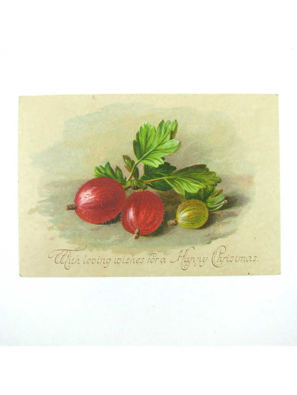 Victorian Christmas Card Red & Green Gooseberry Fruit Bunch Leaves Antique RARE